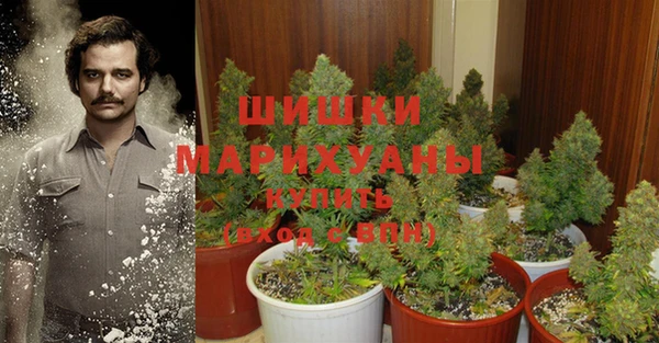 первитин Протвино