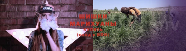 стафф Пролетарск